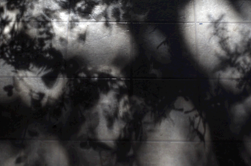 shadows by cloudfactory - wayne beaven