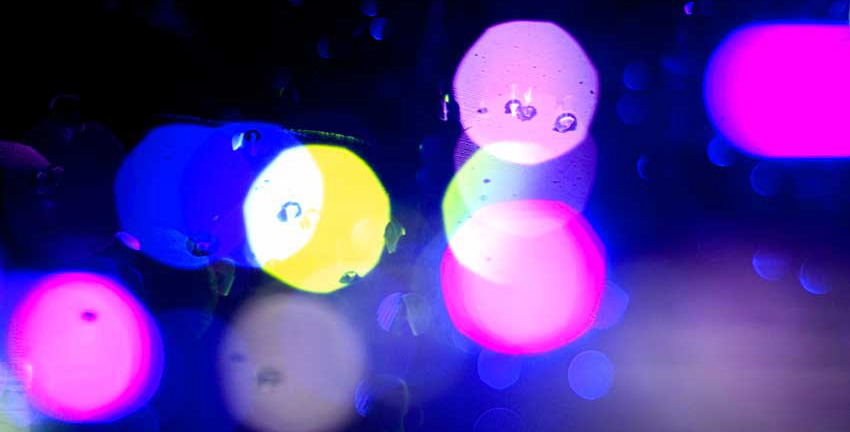 photo by wayne beaven